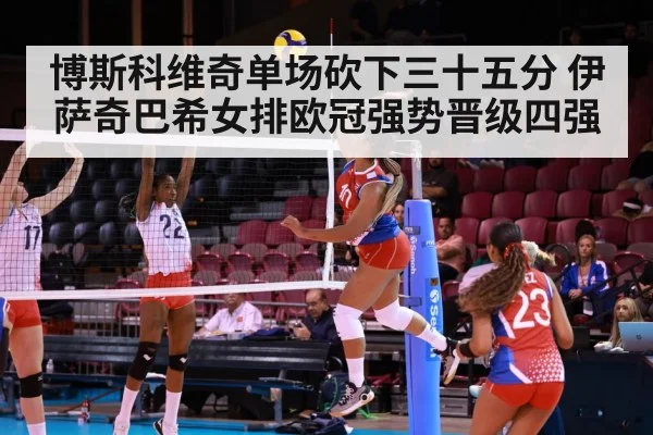 volleyball Champions League match