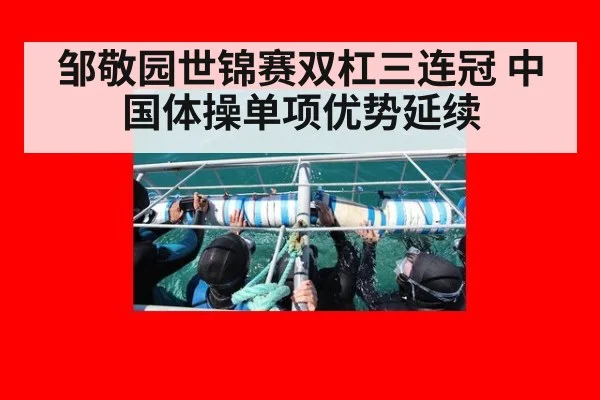 邹敬园世锦赛双杠三连冠 中国体操单项优势延续
