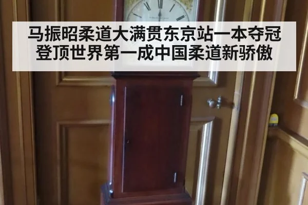 马振昭柔道大满贯东京站一本夺冠 登顶世界第一成中国柔道新骄傲